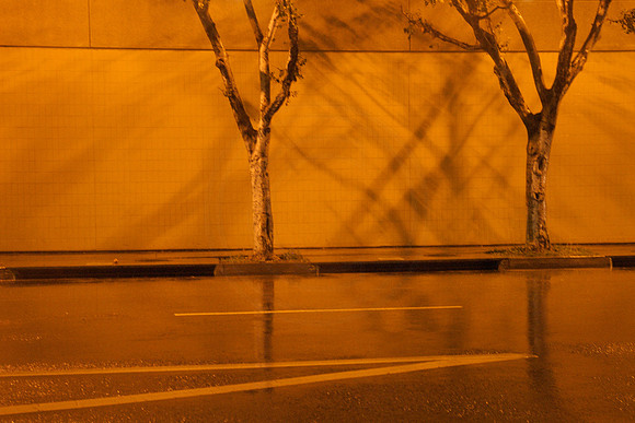 Slow Dance In The Night Rain